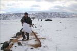 Aksaray´da yaban hayvanlarına yiyecek bırakıldı